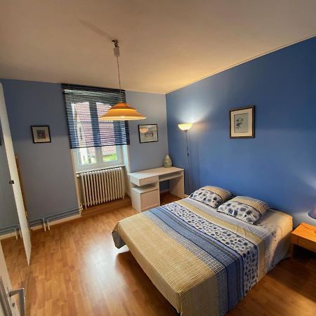 Magnifique Villa A 5 Minutes De Colmar Horbourg Экстерьер фото